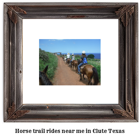 horse trail rides near me in Clute, Texas